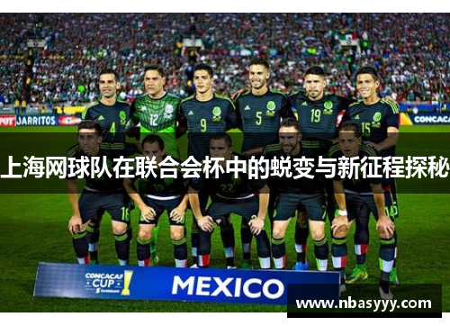 上海网球队在联合会杯中的蜕变与新征程探秘