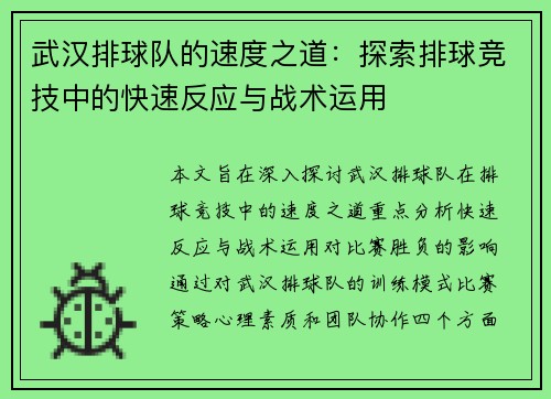 武汉排球队的速度之道：探索排球竞技中的快速反应与战术运用